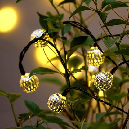 guirlande lumineuse magique dans plante
