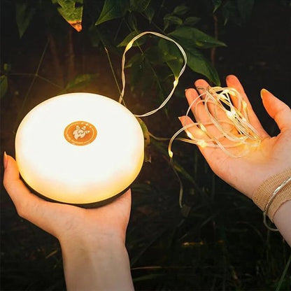 guirlande lumineuse magnifique polyvalente