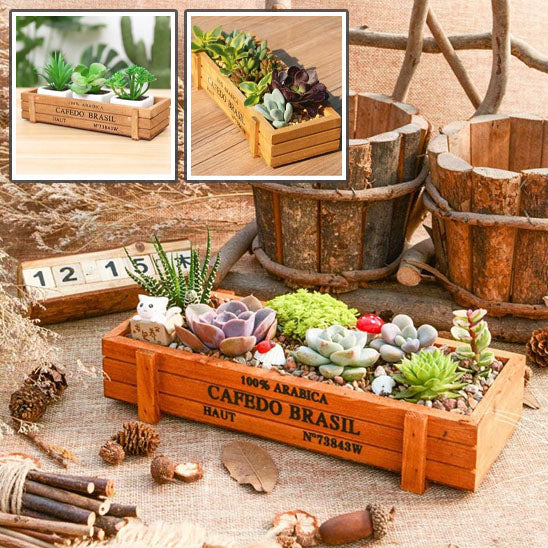 jardiniere bois plage