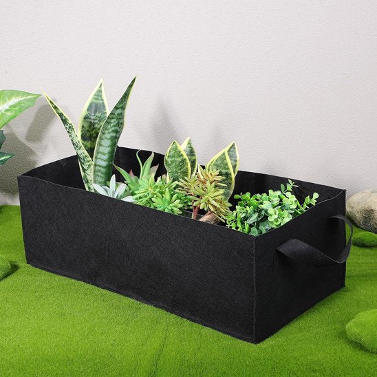jardiniere moderne plantes exterieures