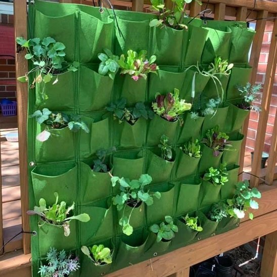 Jardinière suspendue sur petit balcon