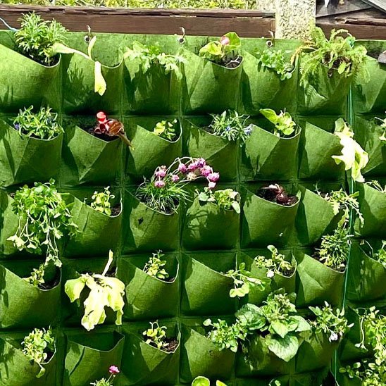 Jardinière suspendue vue de pres