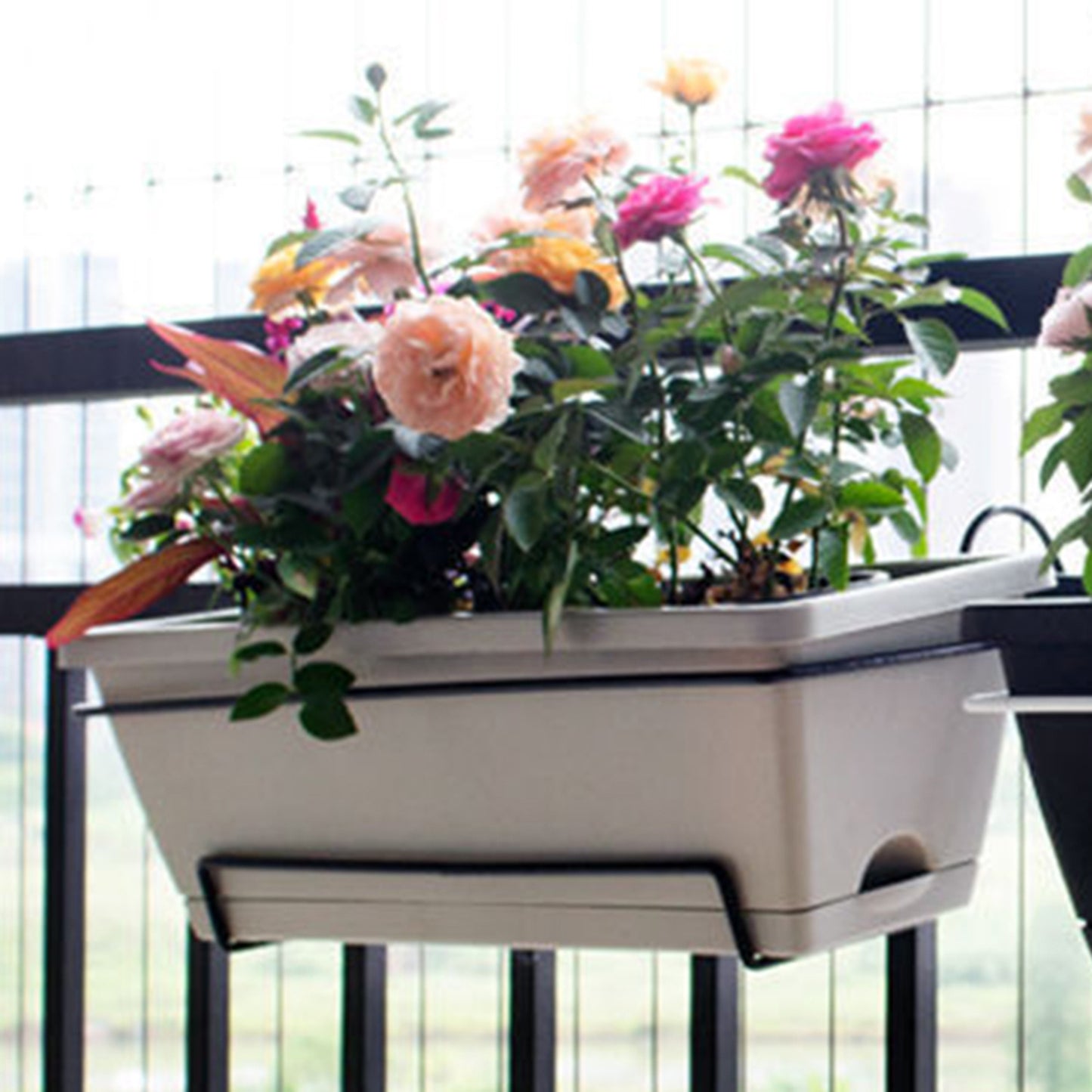 jardiniere extérieur balcon simplicity fleurs