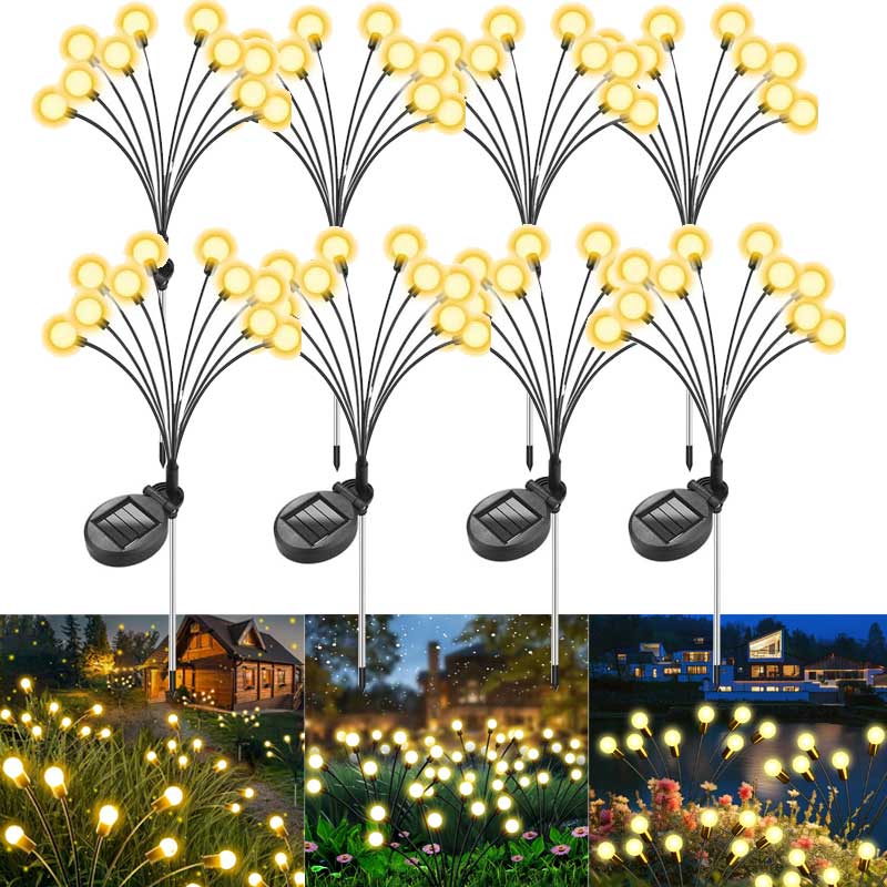 lumiere solaire lucioles image