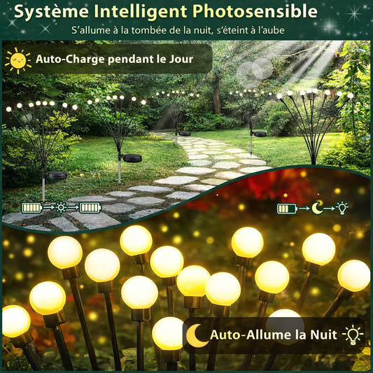 lumiere solaire lucioles